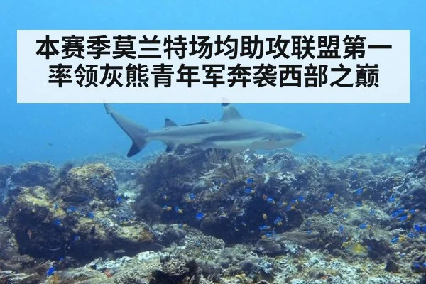 本赛季莫兰特场均助攻联盟第一率领灰熊青年军奔袭西部之巅